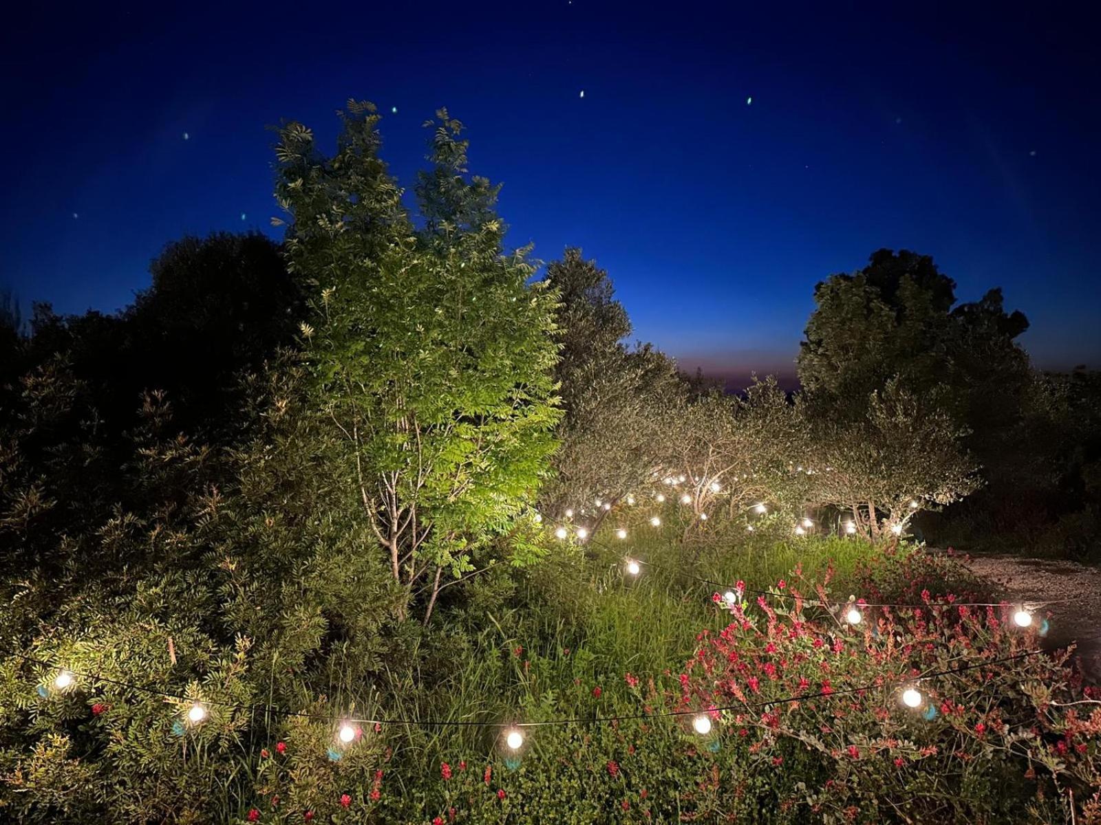 Hotel Glamping San Bart San Vincenzo Exterior foto