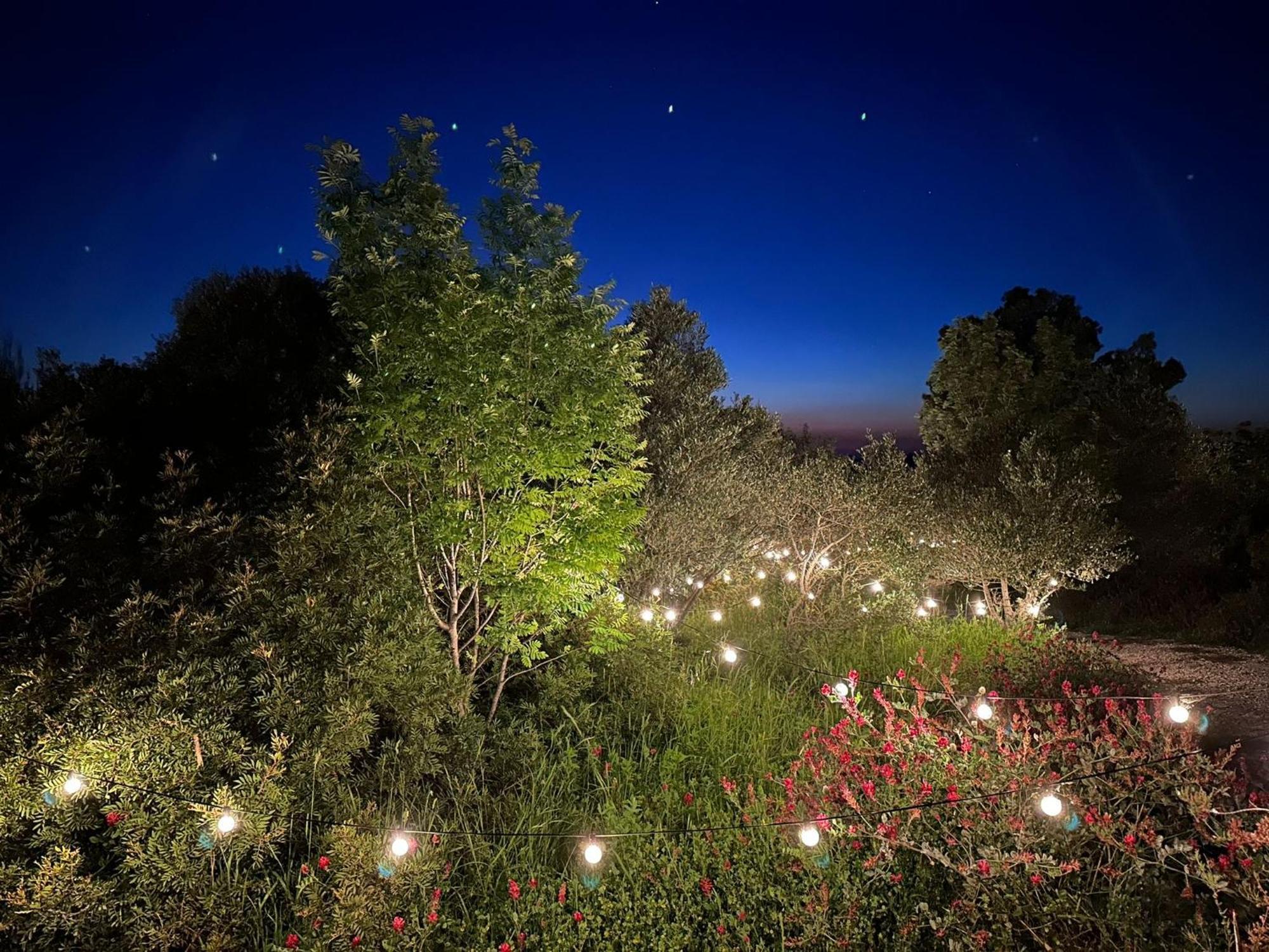 Hotel Glamping San Bart San Vincenzo Exterior foto
